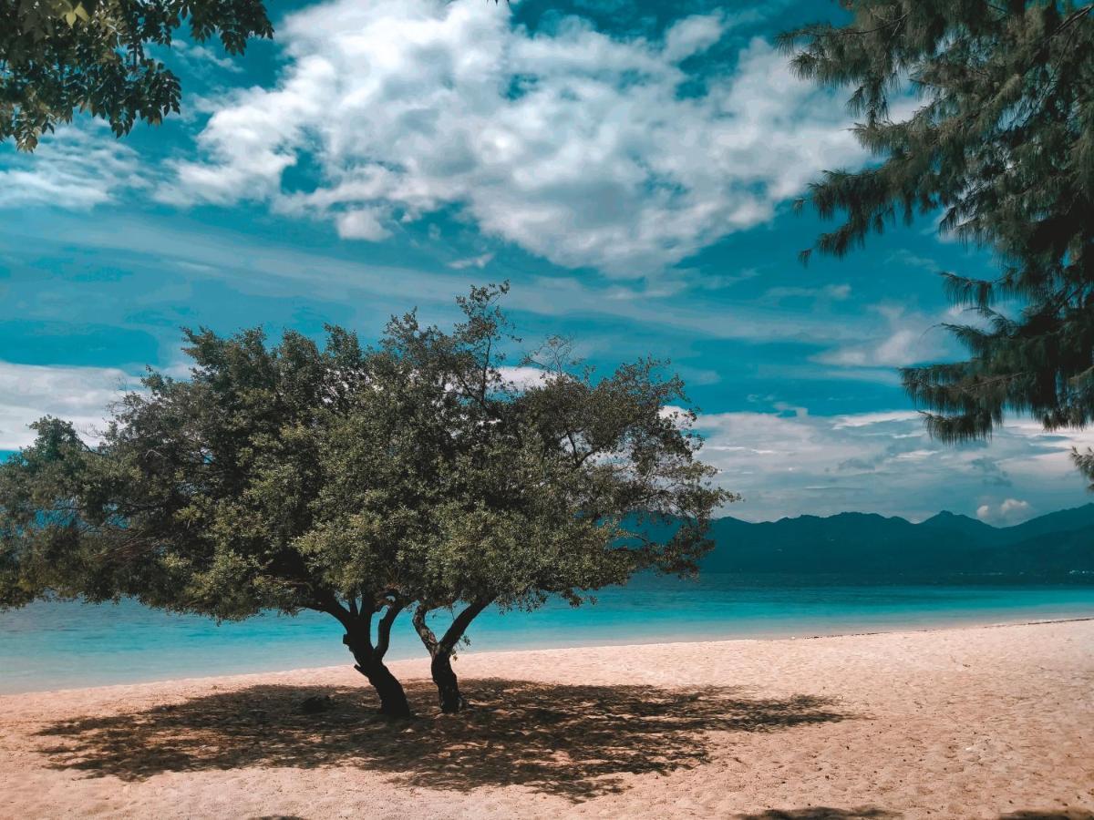 Villa Sea La Vie Private Pool ギリ島 エクステリア 写真